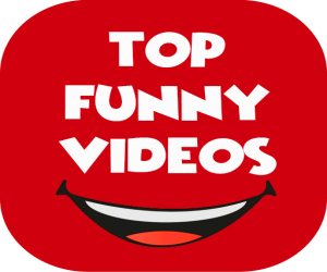 TOP Funny videos